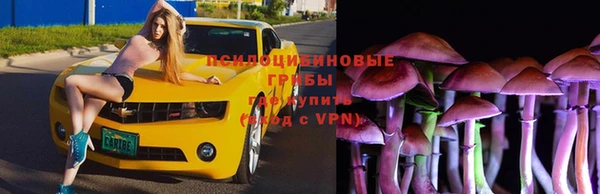 a pvp Балабаново