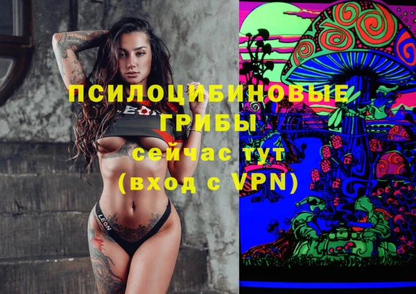 соль ск Белокуриха