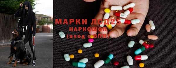 мяу мяу мука Беломорск