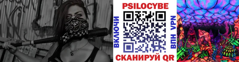 кракен зеркало  Тутаев  Галлюциногенные грибы Psilocybine cubensis 